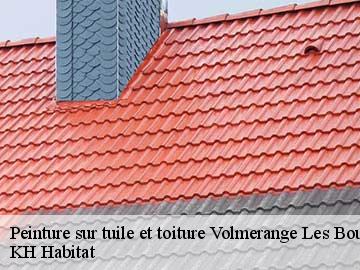 Peinture sur tuile et toiture volmerange-les-boulay-57220 KH Habitat