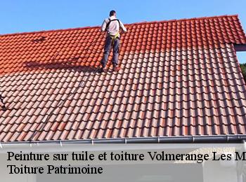 Peinture sur tuile et toiture  57330