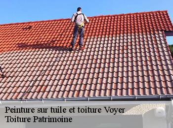 Peinture sur tuile et toiture  57560