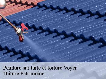 Peinture sur tuile et toiture  voyer-57560 Toiture Patrimoine