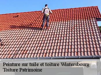 Peinture sur tuile et toiture 57119