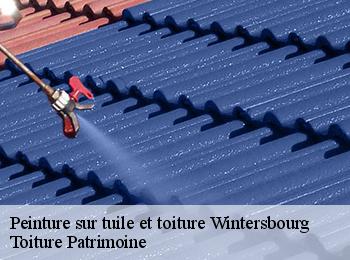 Peinture sur tuile et toiture wintersbourg-57119 Toiture Patrimoine