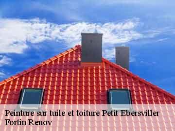 Peinture sur tuile et toiture petit-ebersviller-57730 Fortin Renov