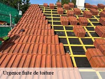 Urgence fuite de toiture