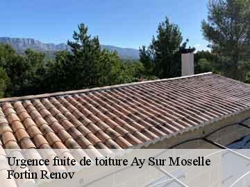 Urgence fuite de toiture ay-sur-moselle-57300 Fortin Renov