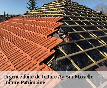 Urgence fuite de toiture  57300
