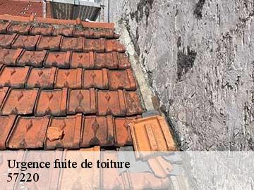 Urgence fuite de toiture 57220