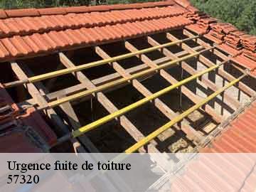 Urgence fuite de toiture  57320