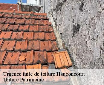 Urgence fuite de toiture  hauconcourt-57210 Toiture Patrimoine