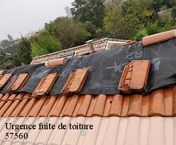 Urgence fuite de toiture