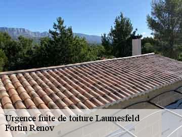 Urgence fuite de toiture laumesfeld-57480 Fortin Renov
