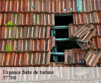 Urgence fuite de toiture  57790