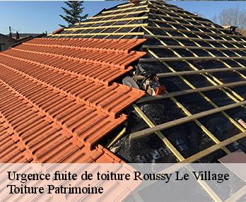 Urgence fuite de toiture  57330