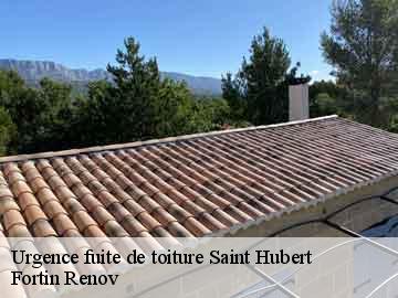 Urgence fuite de toiture saint-hubert-57640 Fortin Renov