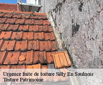 Urgence fuite de toiture  silly-en-saulnois-57420 Toiture Patrimoine