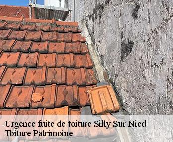 Urgence fuite de toiture  silly-sur-nied-57530 Toiture Patrimoine