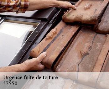 Urgence fuite de toiture  57550