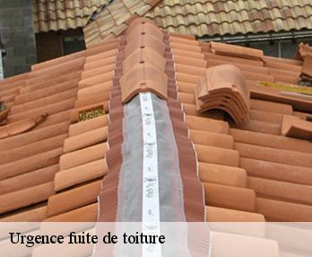 Urgence fuite de toiture