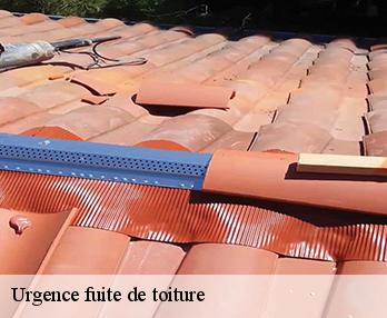Urgence fuite de toiture  57800