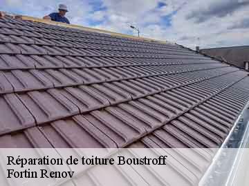 Réparation de toiture  boustroff-57380 Fortin Renov