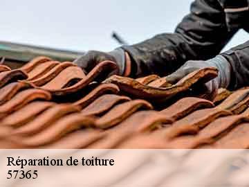 Réparation de toiture 57365