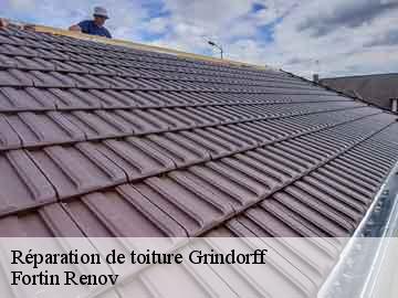 Réparation de toiture grindorff-57480 Fortin Renov