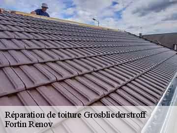 Réparation de toiture grosbliederstroff-57520 Fortin Renov