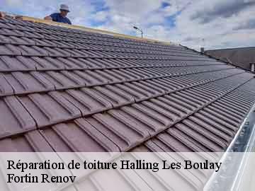 Réparation de toiture halling-les-boulay-57220 Fortin Renov