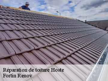 Réparation de toiture hoste-57510 Fortin Renov