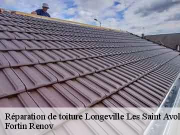 Réparation de toiture longeville-les-saint-avold-57740 Fortin Renov