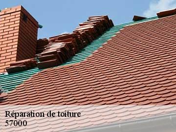 Réparation de toiture 57000