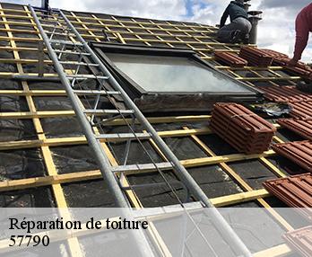 Réparation de toiture  57790