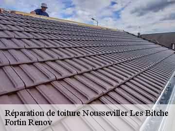 Réparation de toiture nousseviller-les-bitche-57720 Fortin Renov