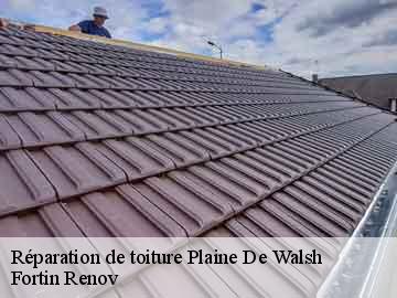 Réparation de toiture plaine-de-walsh-57870 Fortin Renov
