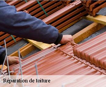 Réparation de toiture