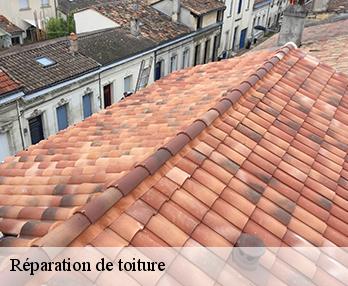 Réparation de toiture 57350