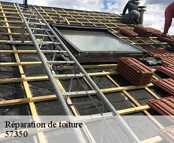 Réparation de toiture 57350