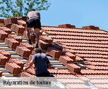 Réparation de toiture