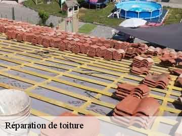 Réparation de toiture