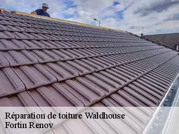 Réparation de toiture waldhouse-57720 Fortin Renov