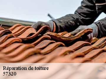Réparation de toiture  57320