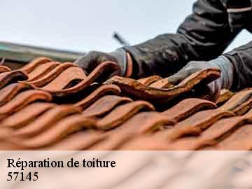 Réparation de toiture 57145