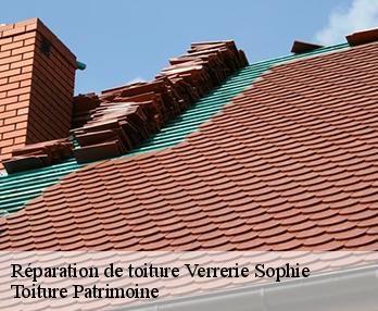 Réparation de toiture  verrerie-sophie-57350 Toiture Patrimoine