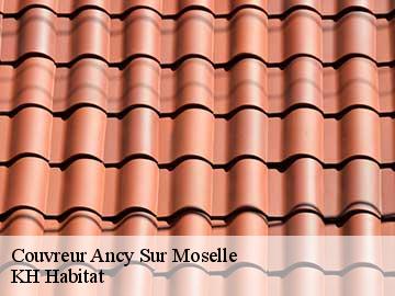 Couvreur ancy-sur-moselle-57130 Artisan Stenegri