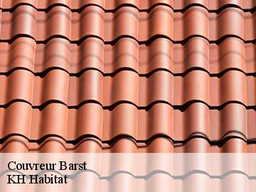 Couvreur barst-57450 Artisan Stenegri