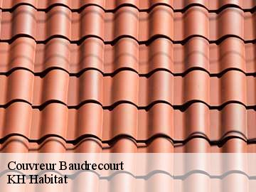 Couvreur baudrecourt-57580 KH Habitat