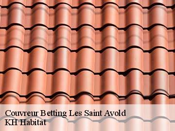 Couvreur betting-les-saint-avold-57800 KH Habitat