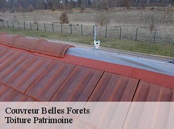 Couvreur  belles-forets-57930 Toiture Patrimoine