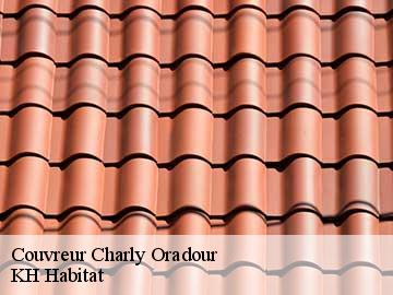 Couvreur charly-oradour-57640 Artisan Stenegri