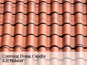 Couvreur diane-capelle-57830 Artisan Stenegri